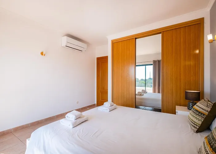 Lamella 阿尔布费拉